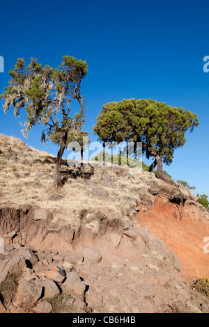 Dramatic landscape along the Northern Escarpment in the Simien Mountains National Park, Northern Ethiopia, Africa. Stock Photo