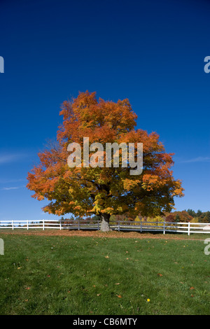New Hampshire: Lakes Region / 'Castle in the Clouds' - autumn colour/color Stock Photo