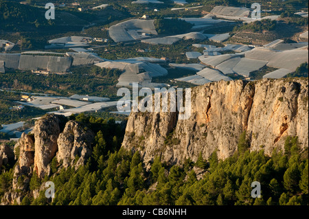 Covered fruit plantations Stock Photo