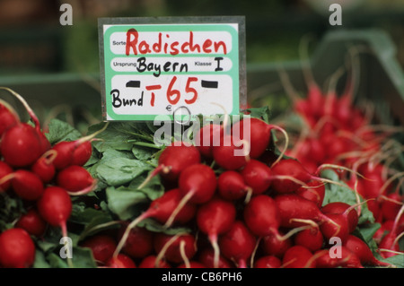 Bunches of radish for sale on a Munich food market stall. Stock Photo
