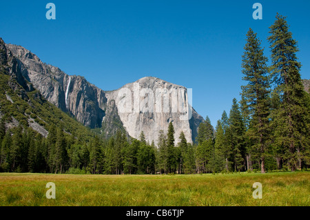 El Capitan, meadow, and Ribbon Falls in Yosemite Valley in Yosemite National Park California Stock Photo