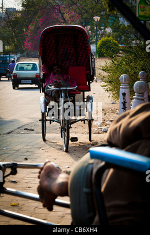 jaipur city architecture travel Stock Photo