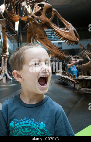 Dinosaur Hall, Natural History Museum, Los Angeles, California, USA Stock Photo