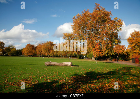 Autumn colour in Queen's Park, Kensal Rise, London, UK Stock Photo