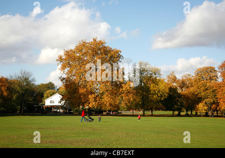 Autumn colour in Queen's Park, Kensal Rise, London, UK Stock Photo