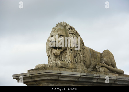 Lion statue on Chain Bridge, Budapest, Hungary Stock Photo