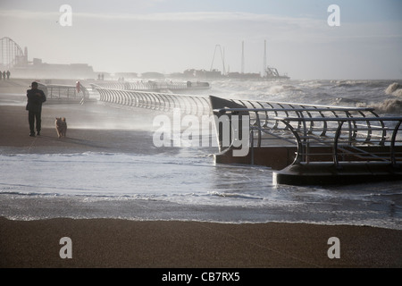Man walking Dog during Rough Stormy Weather on Blackpool Seafront  High tide Blackpool Stock Photo