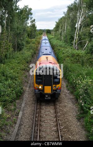 A South West Trains Class 450 electric multiple unit works a Brockenhurst to Lymington Service through the New Forest. Stock Photo