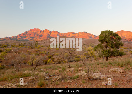 Early morning view over Arkaba Station from Moralana Scenic Drive to the Elder Range in the Flinders Ranges  in South Australia Stock Photo