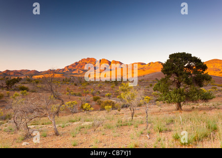 Early morning view over Arkaba Station from Moralana Scenic Drive to the Elder Range in the Flinders Ranges in South Australia Stock Photo