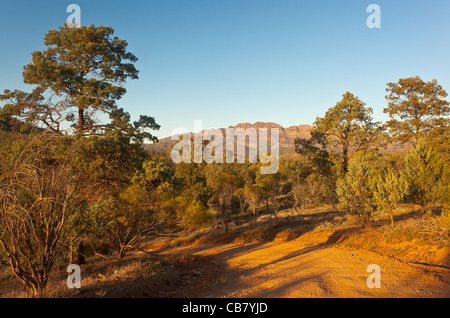 Early morning view over Arkaba Station from Black Gap to the Elder Range in the Flinders Ranges in outback South Australia Stock Photo