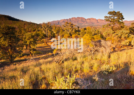 Early morning view over Arkaba Station from Black Gap to the Elder Range in the Flinders Ranges in outback South Australia Stock Photo