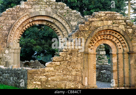 Christian monastic site of Clonmacnoise, Co. Offaly, Ireland. The Nuns Church dates from 1167. Romanesque door and chancel arch Stock Photo