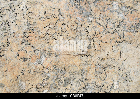 quartzite background surface with interesting texture Stock Photo