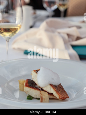 Sama fish fillets grilled and served with white asparagus and a lime mousse Stock Photo