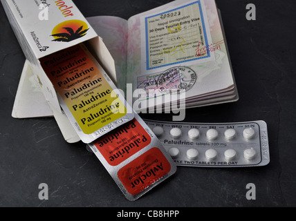 Anti malarial medication and a UK passport with a tourist visa for Nepal Stock Photo