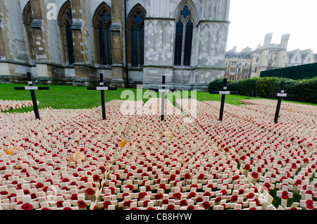 Masses of wooden poppy crosses in annual Field of Remembrance at Westminster Abbey, London Stock Photo