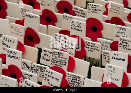 Masses of wooden poppy crosses in annual Field of Remembrance at Westminster Abbey, London Stock Photo