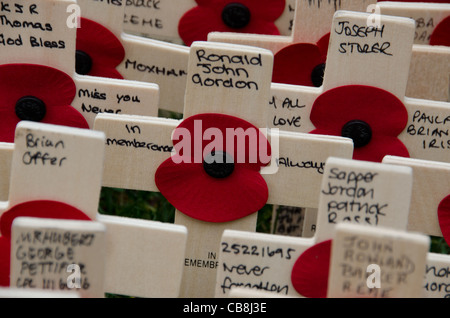 Masses of wooden poppy crosses in annual Field of Remembrance at Westminster Abbey, London Stock Photo