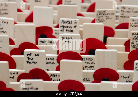 Masses of wooden poppy crosses in annual Field of Remembrance at Westminster Abbey, London Stock Photo