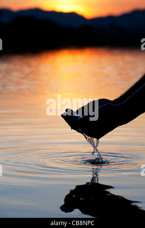 Cupped hands scooping up water in a still lake at sunrise in India. Silhouette Stock Photo