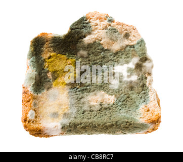 Slice of mouldy bread. Stock Photo