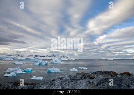 Icebergs in Antarctic sea around Cuverville Island / Île de Cavelier de Cuverville at sunset, Antarctica