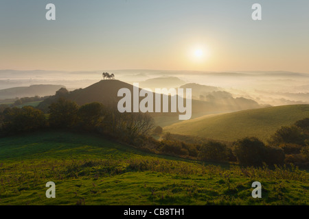 Colmer's Hill and the Marshwood Vale. Dorset. England. UK. Stock Photo