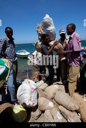 Men Carrying Sacksof Qat As A Fresh Stock Arrived To The Port Of Lamu, Kenya Stock Photo