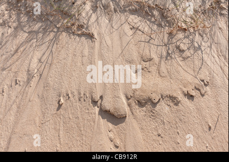 Patterns created in drifting sand from wind moving grass and small pebbles Stock Photo