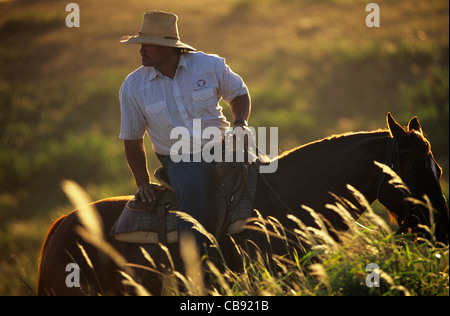 Hawaii, Molokai Ranch, paniolo on ride in pasture Stock Photo