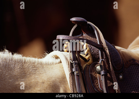 Hawaii, Molokai Ranch, horse saddle detail Stock Photo