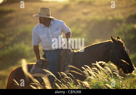 Hawaii, Molokai Ranch, paniolo on ride in pasture Stock Photo