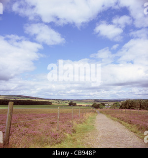 View of the Clyde Valley from the lower slopes of Tinto Hill, South Lanarkshire, Scotland, UK in summer Stock Photo