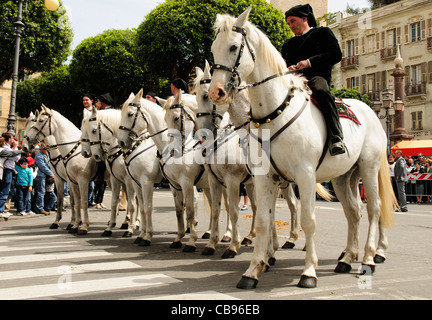 White horses at Sant'Efisio festival,Cagliari, Sardinia, Italy Stock Photo