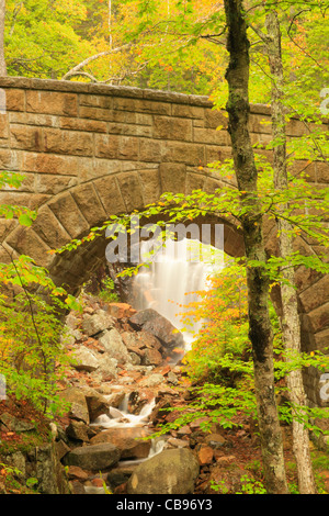 Waterfall Bridge, Hadlock Brook Loop Carriage Road, Acadia National Park, Maine, USA Stock Photo