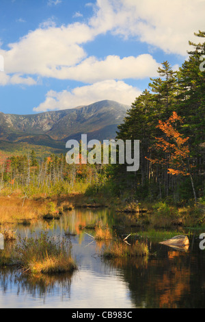 Marsh Near Daicey Pond, Baxter State Park, Millinocket, Maine, USA Stock Photo