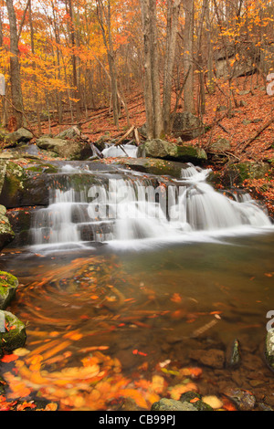 Falls on Hogcamp Branch, Rose River Loop Trail, Shenandoah National ...