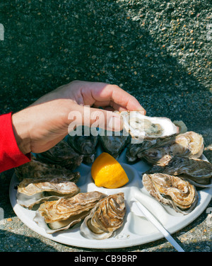 Oyster picnic, Cancale, Brittany, France, Europe Stock Photo