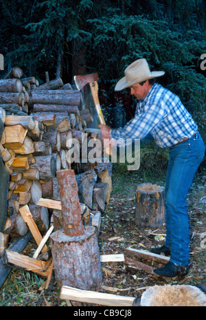 A cowboy wrangler chops wood for a campfire at Sundance Lodge that hosts horseback trail riders in Banff National Park in Alberta, Canada. Stock Photo