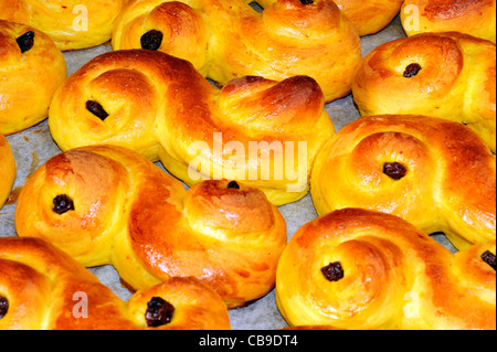 Traditional Swedish lussebullar or Lucia buns on a baking tray Stock Photo