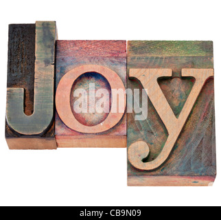 joy word - isolated text in vintage wood letterpress printing blocks Stock Photo