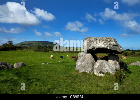 Dolmen (Portal Tomb) in Stone Circle, Carrowmore Megalithic Cemetery (4,000 BC ), Knocknarea in distance, Cúil Irra Peninsula, County Sligo, Ireland Stock Photo