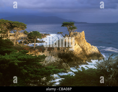 The lone cypress tree along Highway 17 in Pebble Beach, California. Stock Photo