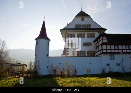 Wasserschloss Wyher, castle, Ettiswil, Switzerland Stock Photo