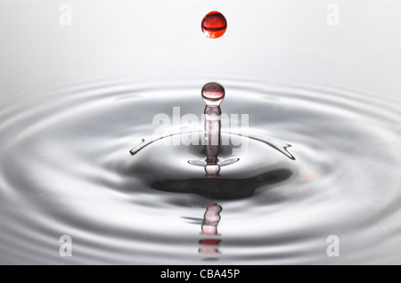 Red water drop into clear water with ripples Stock Photo