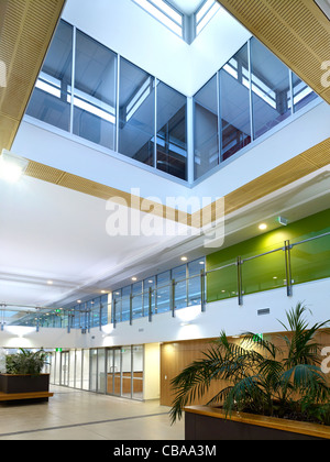 Modern commercial interior foyer featuring daylight atrium Stock Photo