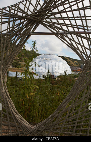 Domes and entrance to Eden project viewed through rope structure Stock Photo