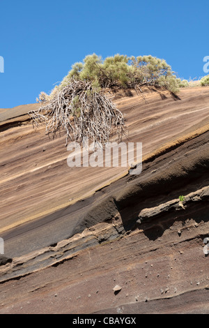 The curva de la tarta in tenerife showing different strata of coloured layers in the volcanic soil at a level of approx 1800 met Stock Photo