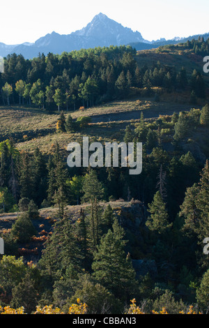 The Dallas Divide is a Colorado icon, well known for its vivid fall ...